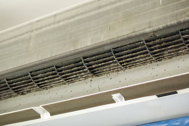 Best HVAC System Cleaning  in Noroton, CT